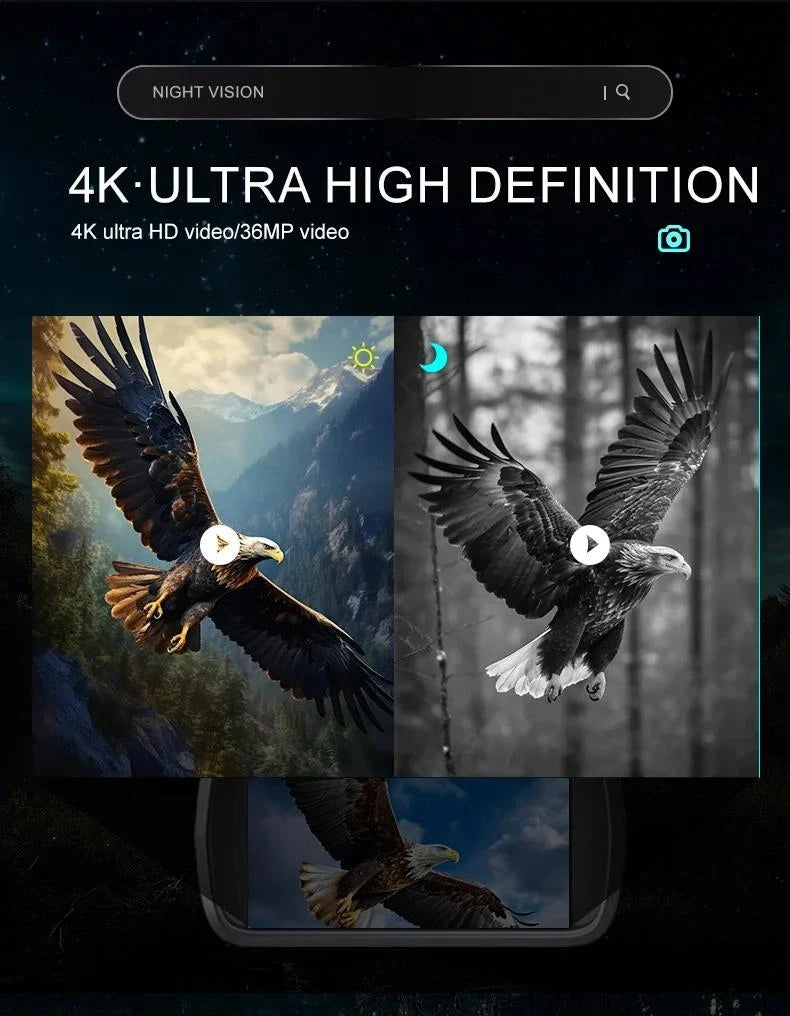 4K ultra HD video of an eagle with night vision feature displayed.