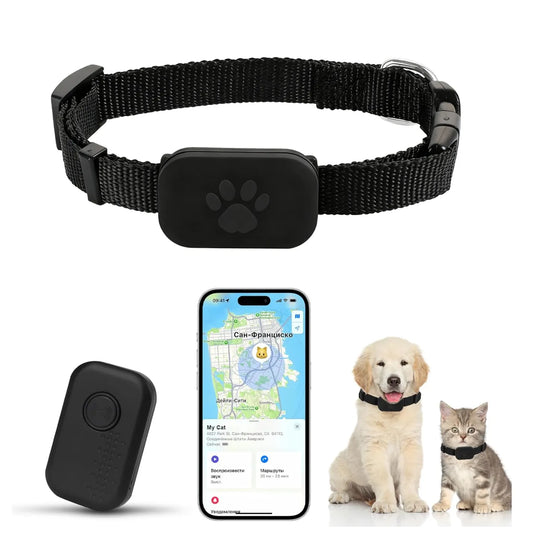 Beelines Smart Pet GPS Tracker with collar, phone app, and two pets on a white background