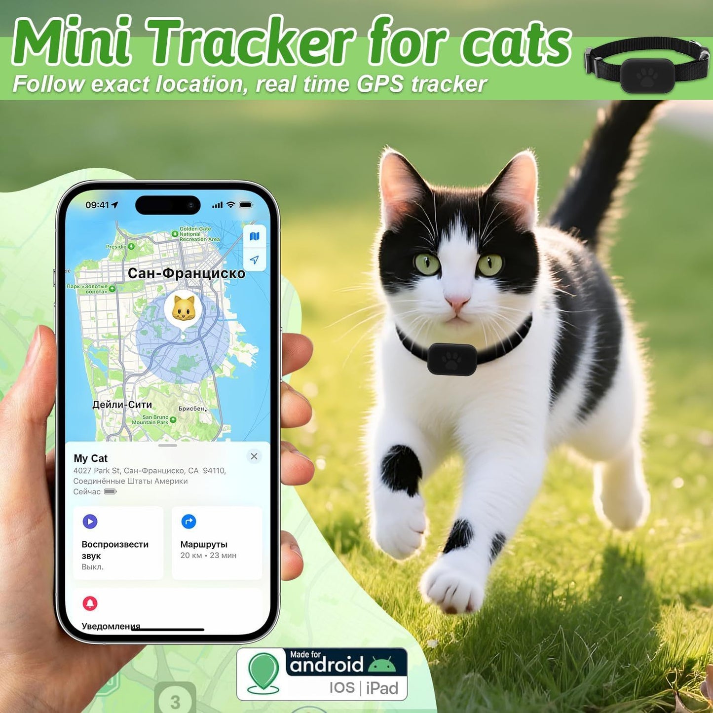 Cat wearing a Beelines Smart Pet GPS Tracker with a smartphone displaying the app interface, set against a grassy background.