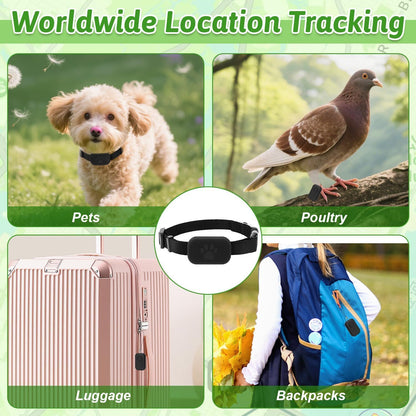 Product advertisement with images of a dog, pigeon, suitcase, and backpack, highlighting worldwide location tracking capabilities.