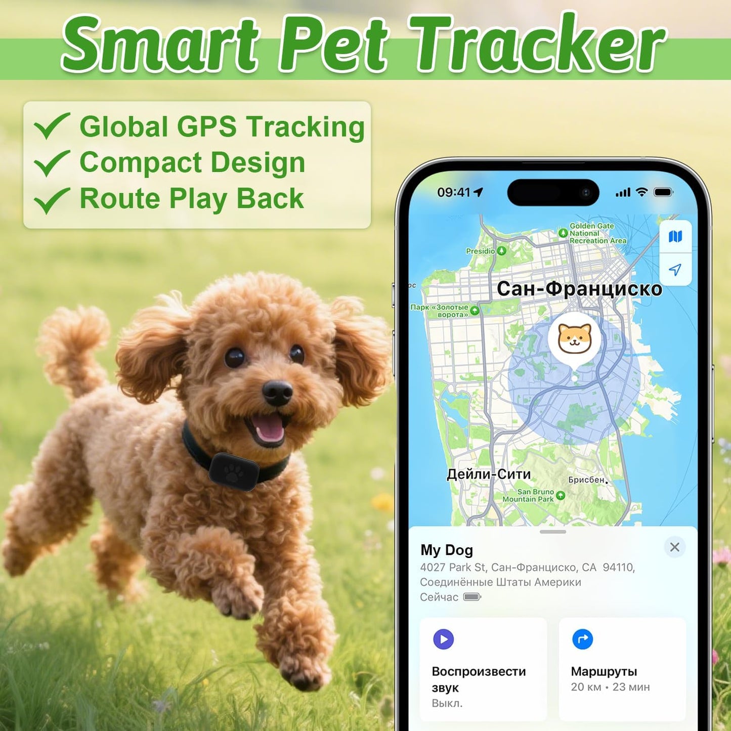 Beelines Smart Pet GPS Tracker with a dog and smartphone app displaying location on a grassy background