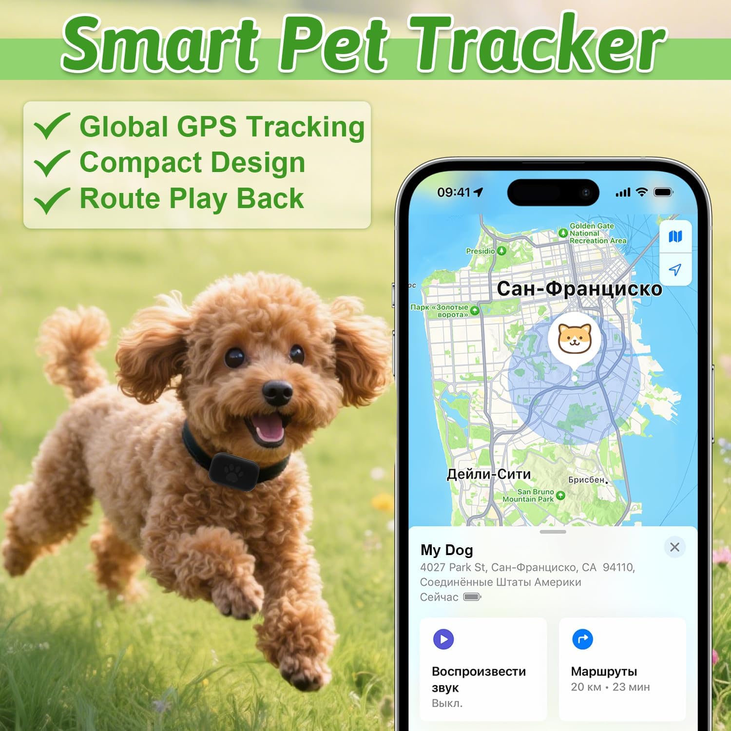 Beelines Smart Pet GPS Tracker with a dog and smartphone app displaying location on a grassy background