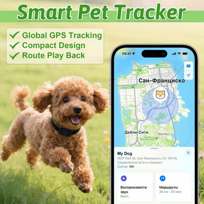 Beelines Smart Pet GPS Tracker with a dog and smartphone app displaying location on a grassy background