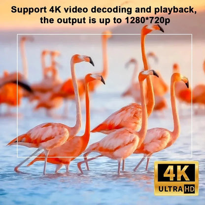 Flamingos in water with text about 4K video decoding and playback capabilities.