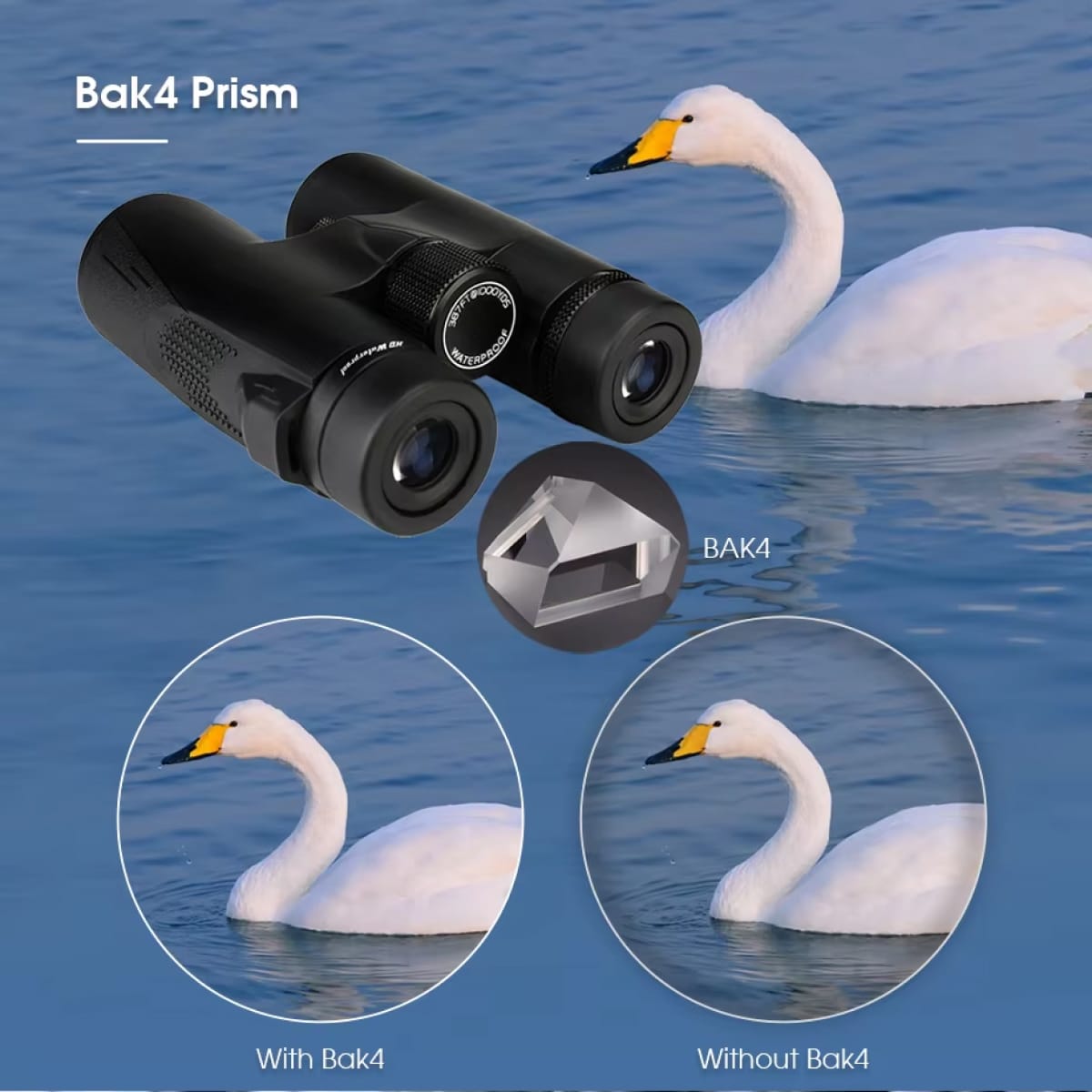 HoziSkop Binoculars with Bak4 Prism feature on a background of swans in water