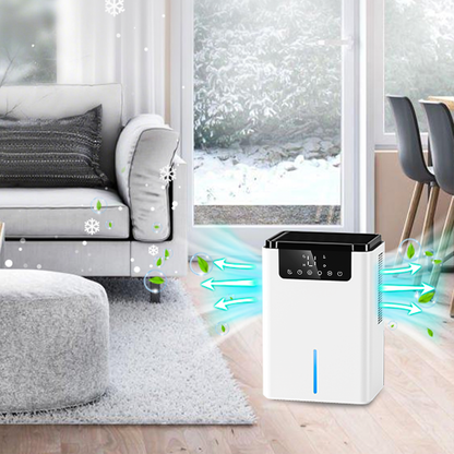 Marvics Dehumidifier in a living room with snow outside the window