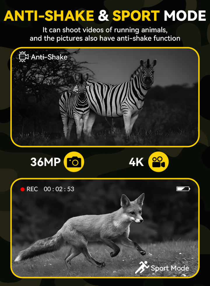 Moxier N4 Night Vision Goggles feature display with zebra and fox images, highlighting anti-shake and sport mode capabilities.