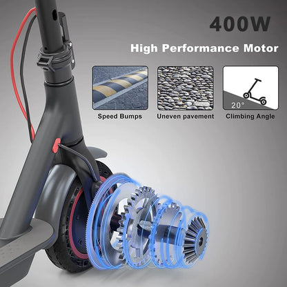 Moxier T8 Electric Scooter