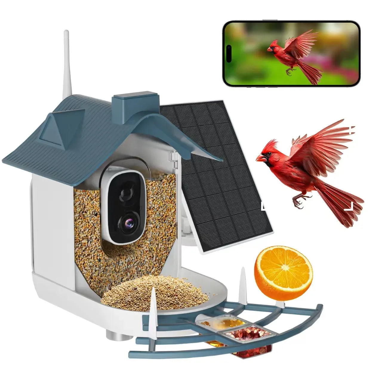 Nest Birdy Smart Bird Feeder F9