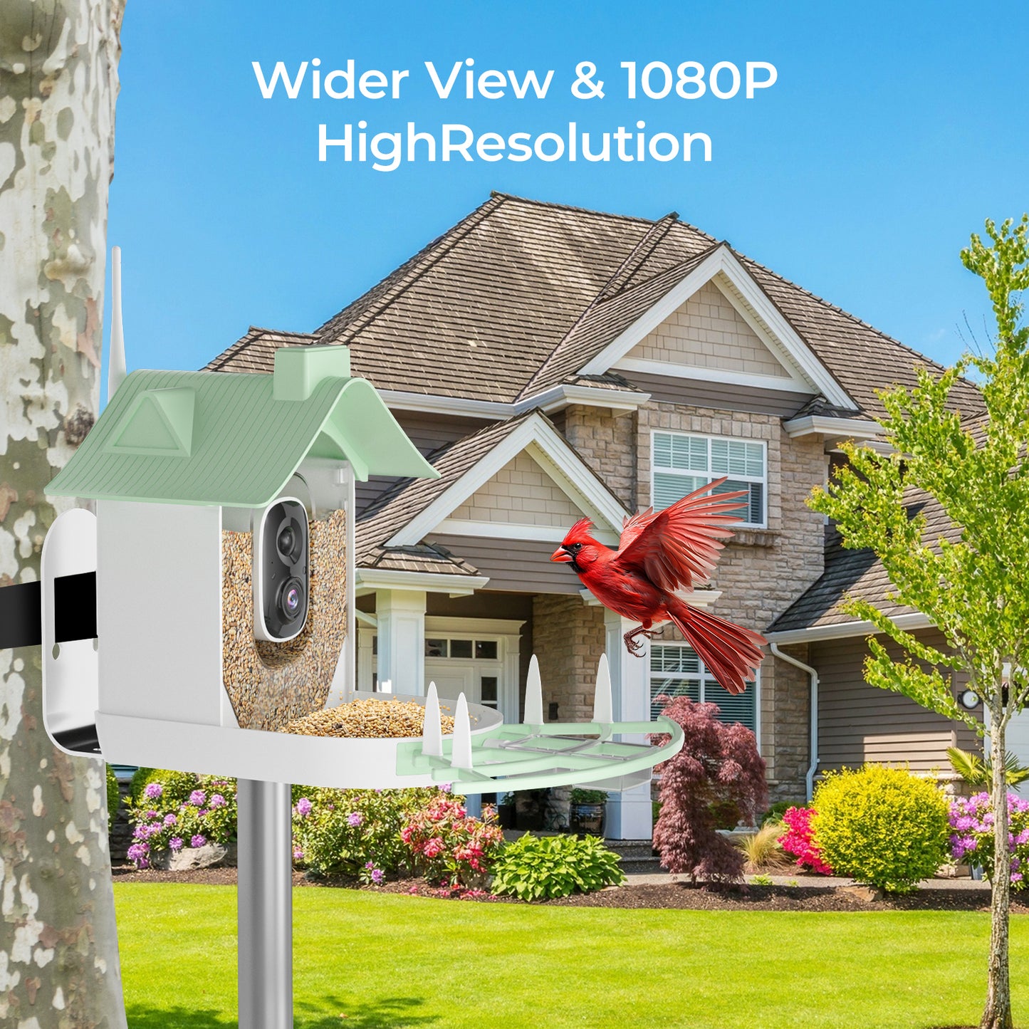 Nest Bird Feeder with camera labeled 'Wider View & 1080P HighResolution' in front of a house with a bird flying by.