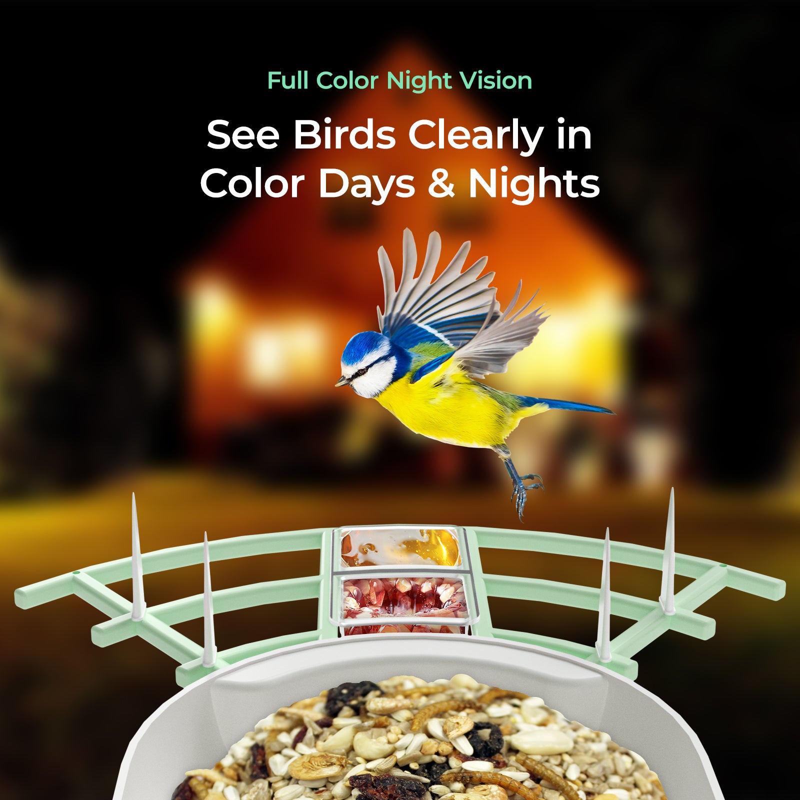 Bird perched on a bird feeder with text 'Full Color Night Vision See Birds Clearly in Color Days & Nights' against a blurred background.