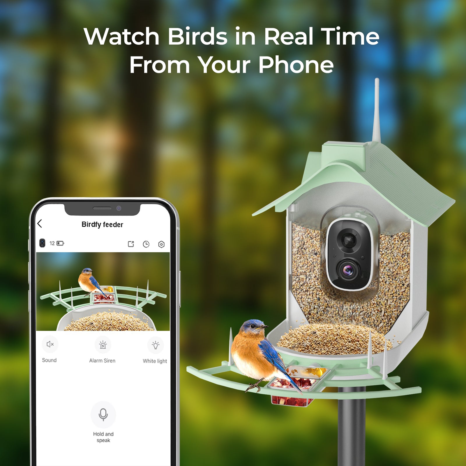 Nest Birdy Smart Bird Feeder F9 with camera and smartphone app displaying bird images, set against a blurred forest background.