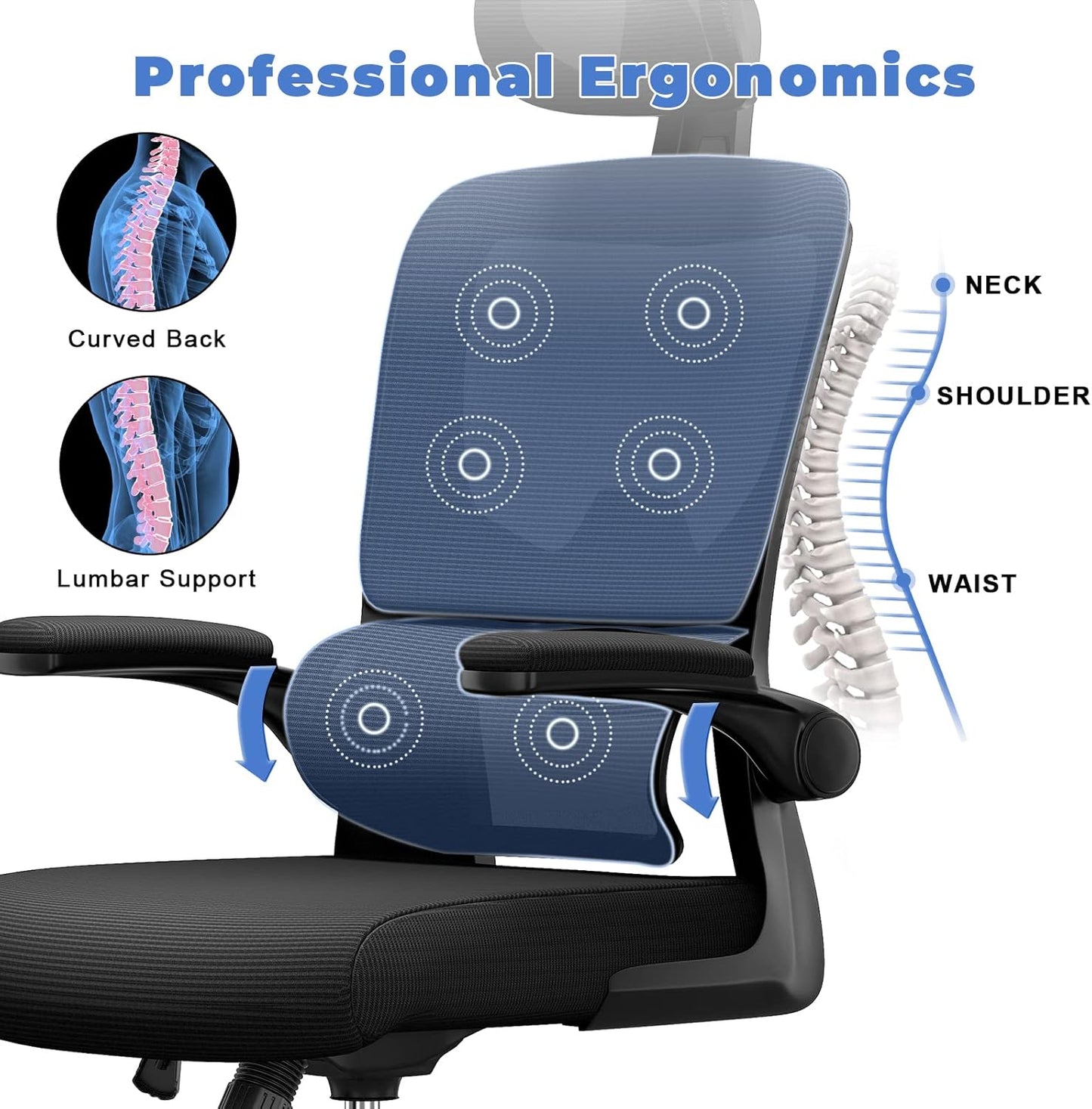 Ocanvas Ergonomic Office Chair with massage cushion and professional ergonomics text