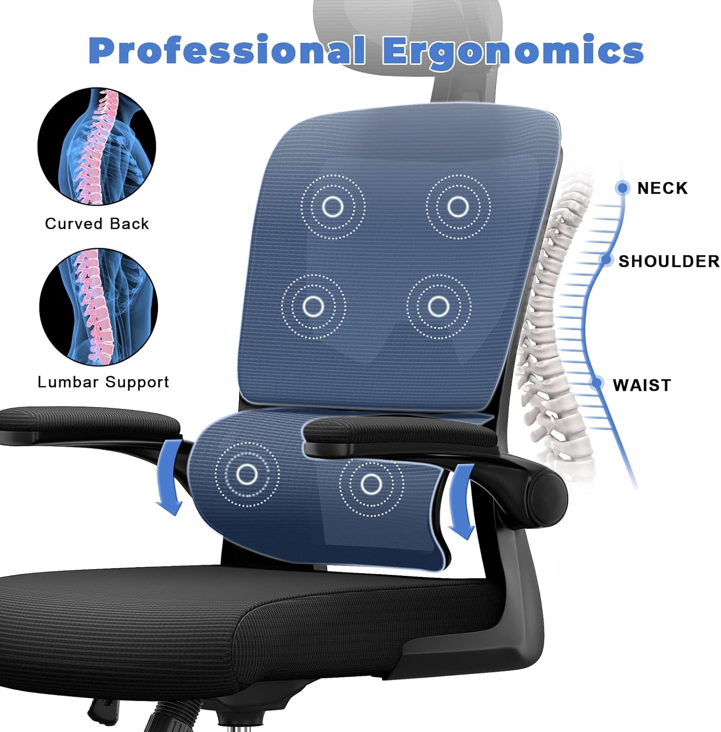 Ocanvas Ergonomic Office Chair with massage cushion and professional ergonomics text
