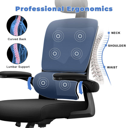 Ocanvas Ergonomic Office Chair with massage cushion and professional ergonomics text