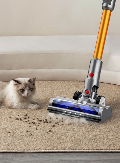 drexon vacuum cleaner a carpet with a cat observing nearby.