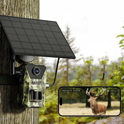 Solar-powered Trovoro Wildlife Camera attached to a tree with a smartphone displaying a deer image.