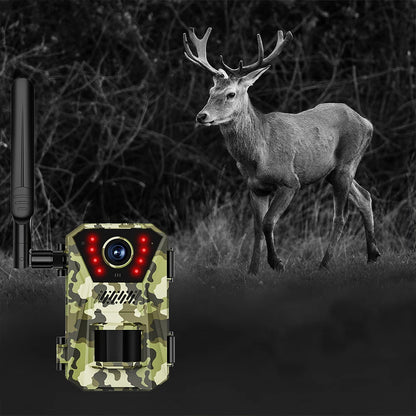 Trovoro Wildlife Camera trail with a deer in a dark forest setting